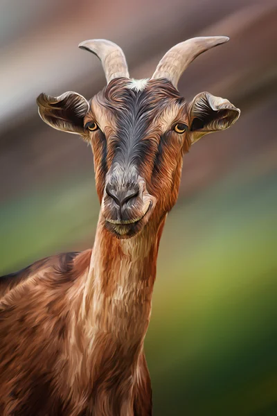 Desenho de cabras, arte — Fotografia de Stock