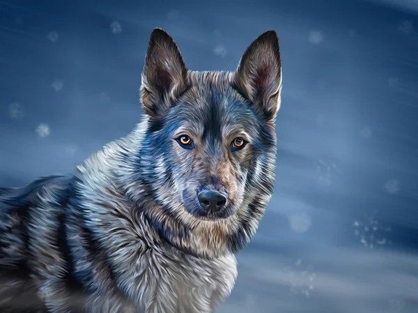 Drawing  mixed breed Dog Wolf — Stock Photo, Image