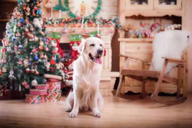 Altın geri almak, Noel ve yeni yıl