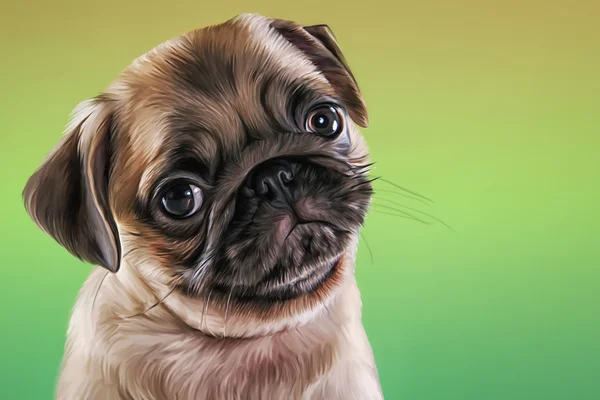 Ilustração com mão desenhado pug retrato — Fotografia de Stock