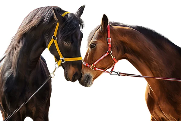 Zeichnung eines Pferdes, Porträt, auf grünem Hintergrund, handgezeichnet — Stockfoto