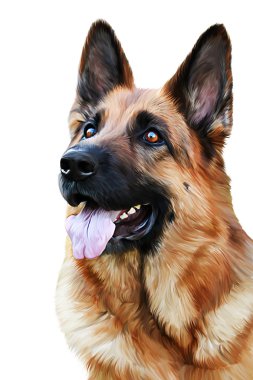 Alman çoban köpek köpek çizimi