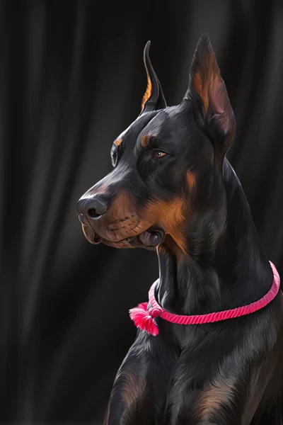 Çizim Doberman köpek — Stok fotoğraf