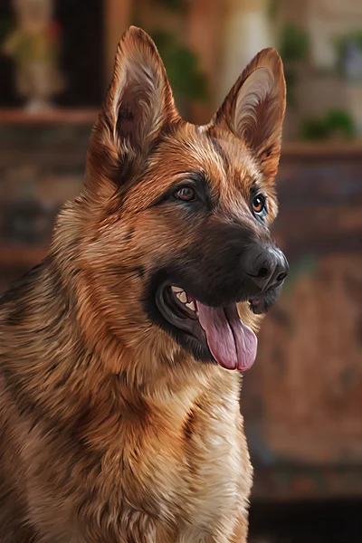 Drawing dog German Shepherd — Stock Photo, Image