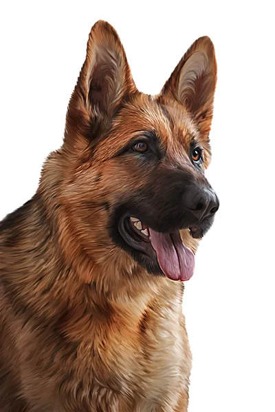 Drawing German Shepherd Dog — Stock Photo, Image