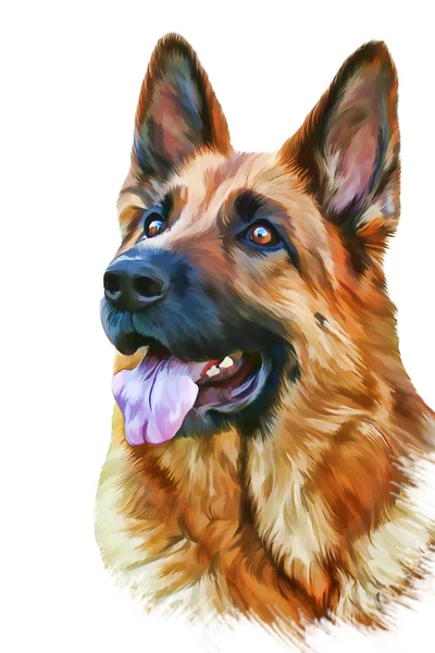 Tekening van de hond Duitse herdershond — Stockfoto