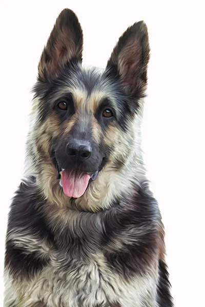 Drawing of the dog German Shepherd Dog — Stock Photo, Image