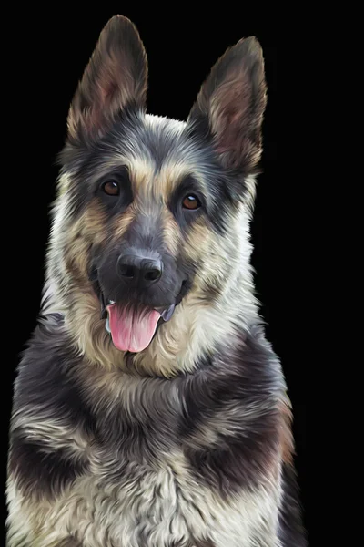 Drawing of the dog German Shepherd Dog — Stock Photo, Image