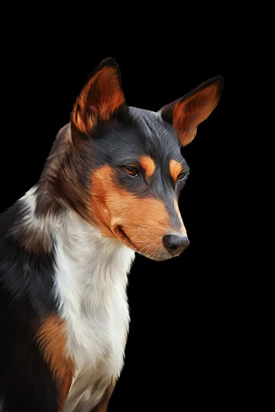 Drawing dog breed Basenji — Stock Photo, Image