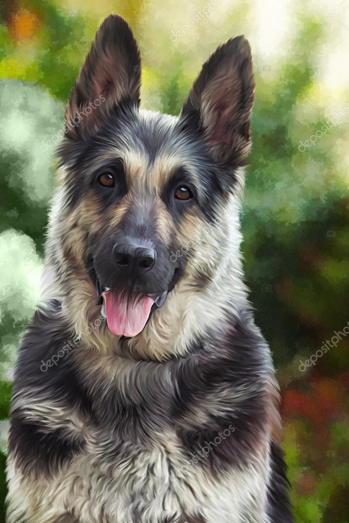 Rysunek Psa Owczarka Niemieckiego Zdjęcie Stockowe