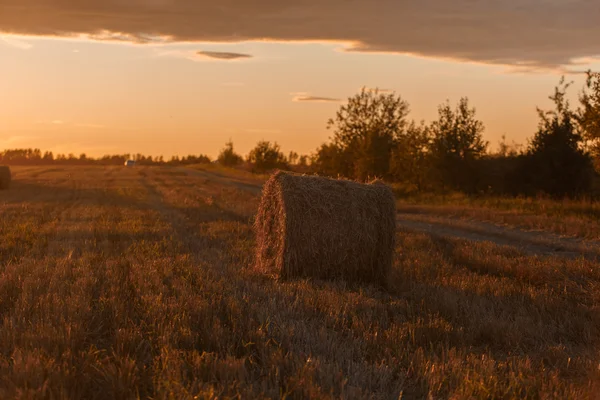 Stock hay landscape — Zdjęcie stockowe