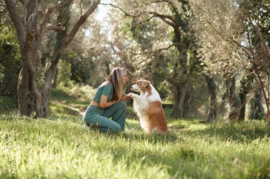 Bir Border Collie ve sahibi büyük ağaçların altındaki yeşil çimlere yakın otururlar. Sahne, barışçıl bir dostluk ve doğal güzelliği temsil ediyor..