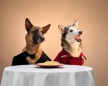 Zarif giyinmiş bir Belçikalı Malinois ve bir Sibiryalı Husky yemek masasında yemekle birlikte neşeli bir anı paylaşıyorlar. Onların canlı ifadeleri sahneyi sıcak ve davetkar yapıyor..