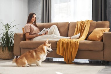 Kanepede oturan bir kadın Corgi 'si neşeyle yaklaşırken, evcil hayvan sahnesinde sıcak bir ışık yakar.