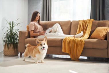 Kanepenin yanında duran ve minimalist evcil hayvan sahnesinde oturan kadına bakan bir köpek.