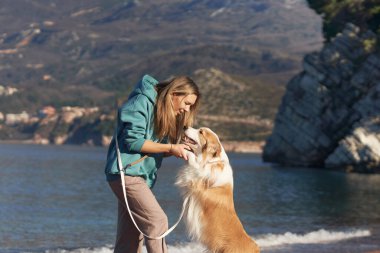 Kayalık sahilde bir Border Collie, deniz mavisi ceketli bir kadının yanında duruyor. Sakin mavi suların yanında sakin bir anın tadını çıkarırlar..