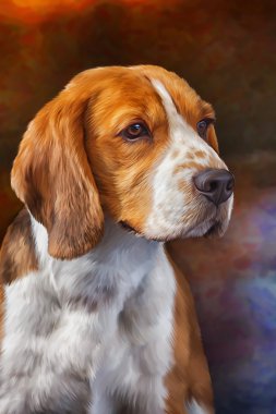 Köpek Beagle çizim