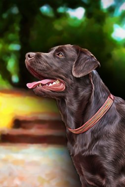 Çizim köpek Labrador, portre