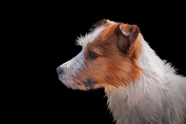 Tekening Jack Russell Terrier hond — Stockfoto