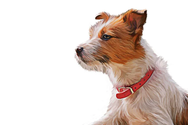 Desenho cão Jack Russell Terrier caminha sobre a natureza — Fotografia de Stock