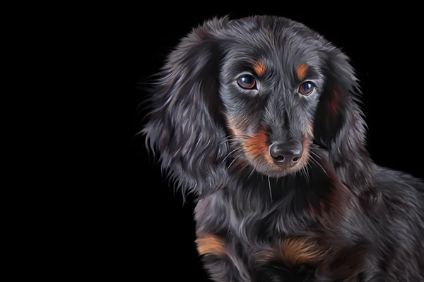 Dibujo Perro raza dachshund — Foto de Stock