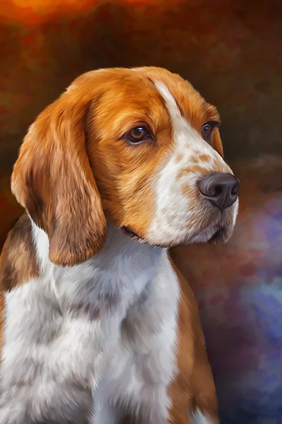 Dibujo perro Beagle —  Fotos de Stock