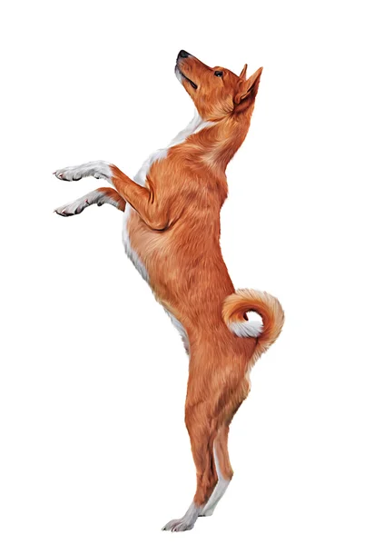 Çizim köpek doğurmak alçaklık — Stok fotoğraf