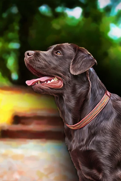 Рисование собаки Лабрадор, портрет — стоковое фото