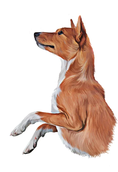 绘图的犬种犬 — 图库照片