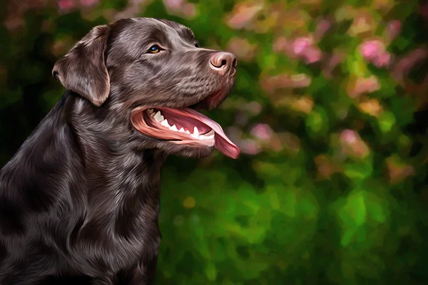 Desenho cão Labrador, retrato — Fotografia de Stock