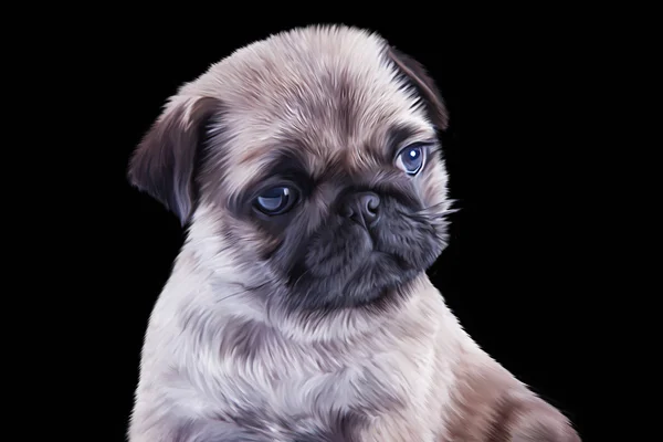 Dibujo Puppy Pug retrato —  Fotos de Stock