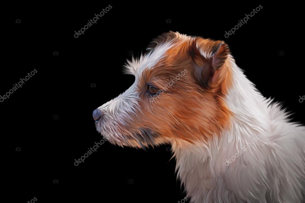 Chien Jack Russell Terrier De Dessin Photographie