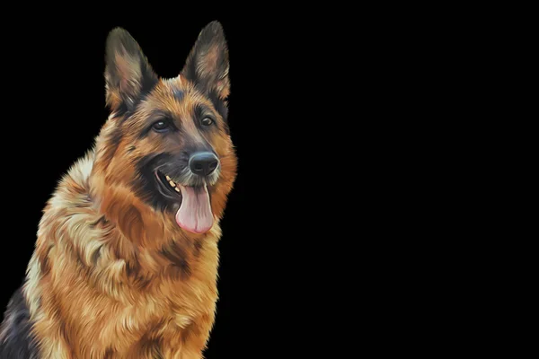 Drawing German Shepherd Dog — Stock Photo, Image