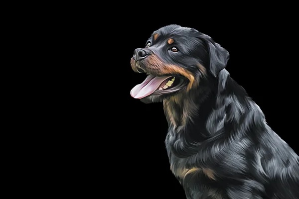 Drawing of the dog rottweiler, portrait — Stock Photo, Image