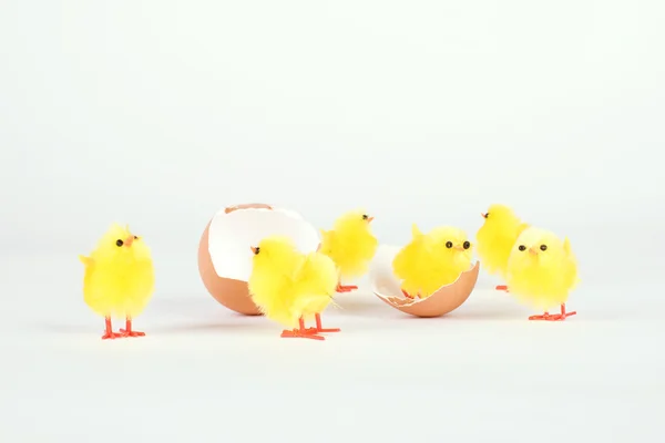 Brinquedo de galinha e casca de ovo isolado em branco — Fotografia de Stock