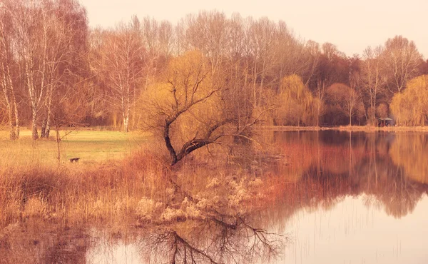 Vintage photo of a park — Stock Photo, Image