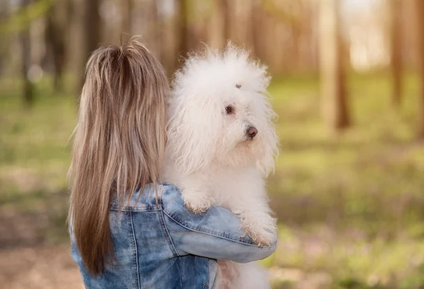Mulher de beleza e seu cão no parque — Fotografia de Stock