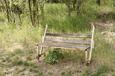 Terk edilmiş bir tezgah parkta fotoğrafı