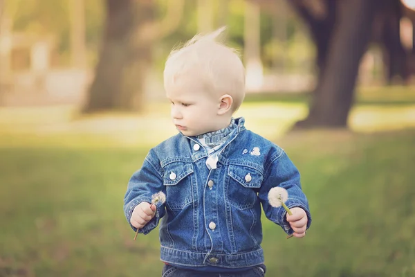 Boy in the nature with dandelion seeds — Stock Photo, Image