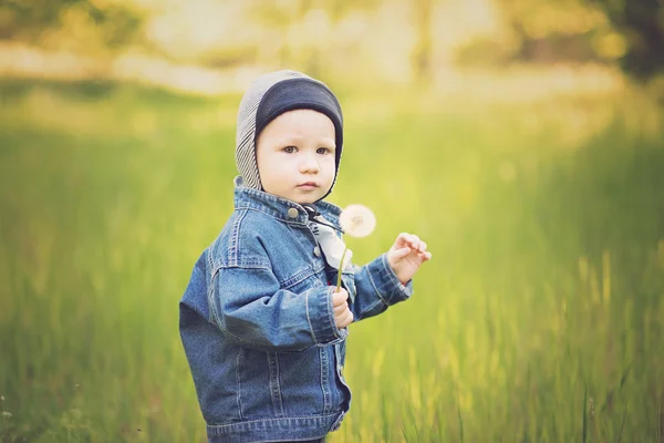 Doğa karahindiba tohumları ile çocuk — Stok fotoğraf