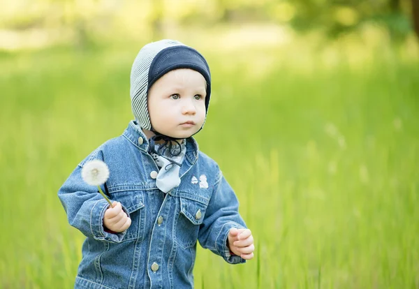 Boy in the nature with dandelion seeds — Stock Photo, Image