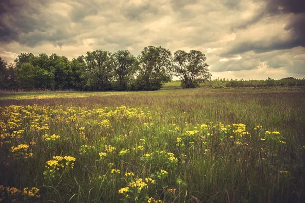 Bellissimo paesaggio con cielo drammatico — Foto Stock