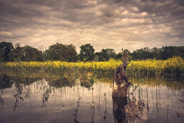 Вінтажний пейзаж красивого озера — стокове фото