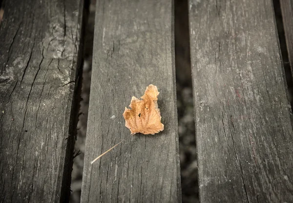 Closeup photo of a dry autumn leaf on wooden — Stock Photo, Image