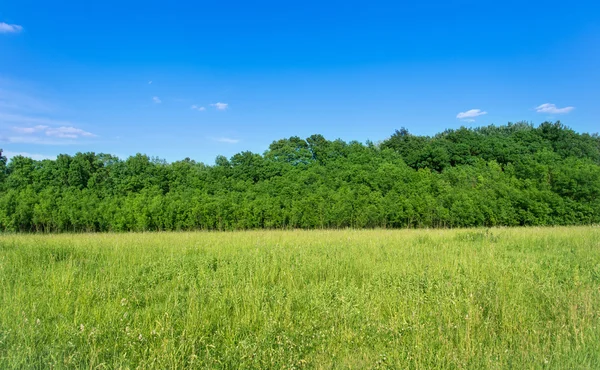 Foto van het mooie landschap — Stockfoto