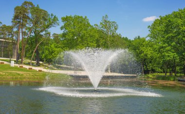 Fotoğraf Park Debrecen, Macaristan.