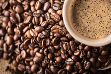 Taze kahve ve kahve çekirdekleri bir tablo