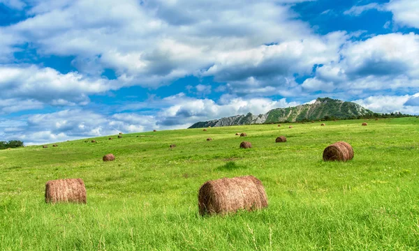 Saman balya güzel çayır üzerinde — Stok fotoğraf