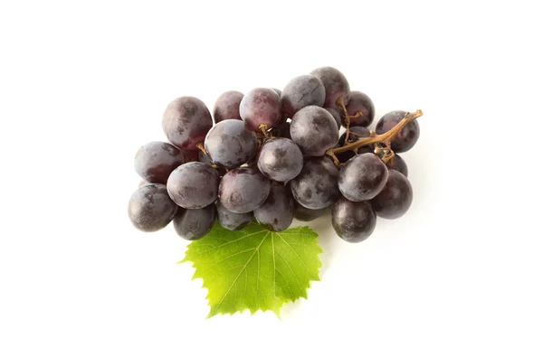 Виноград изолирован на белом — стоковое фото