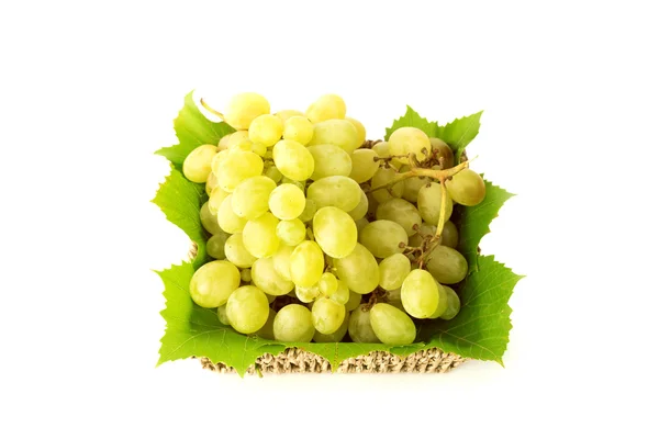 Uvas isoladas a branco — Fotografia de Stock